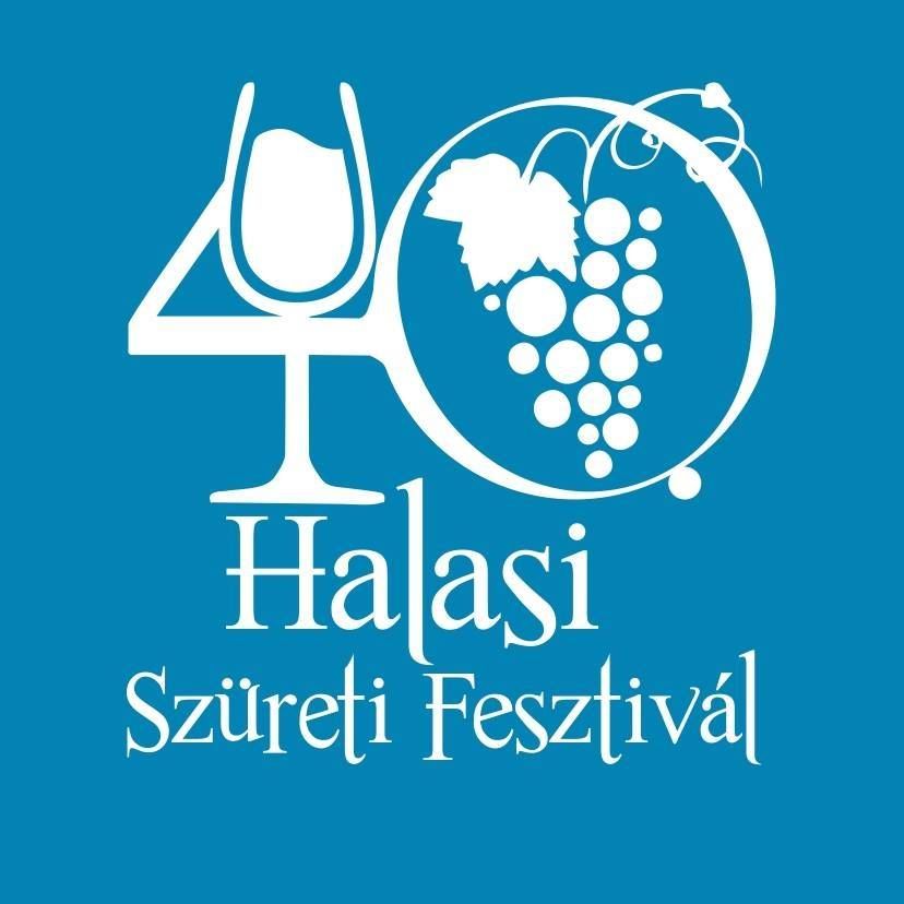 Önkénteskedj a halasi kultúráért!