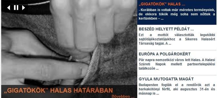 net - gigatök