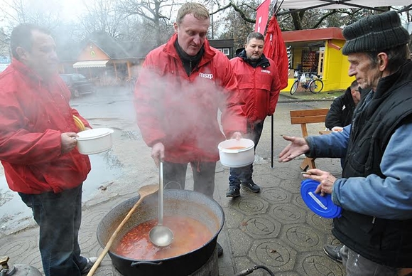 szocik2