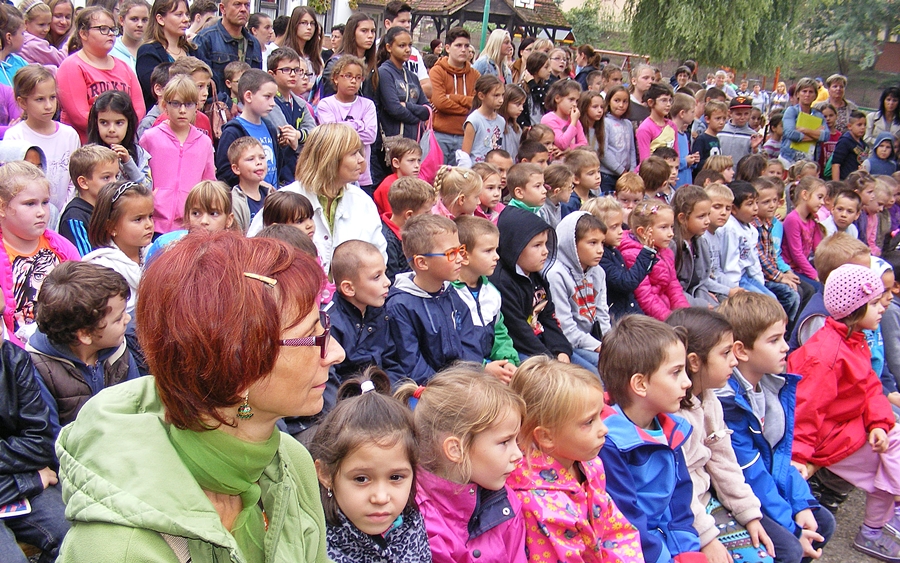 Szüreti forgatag 2015 06
