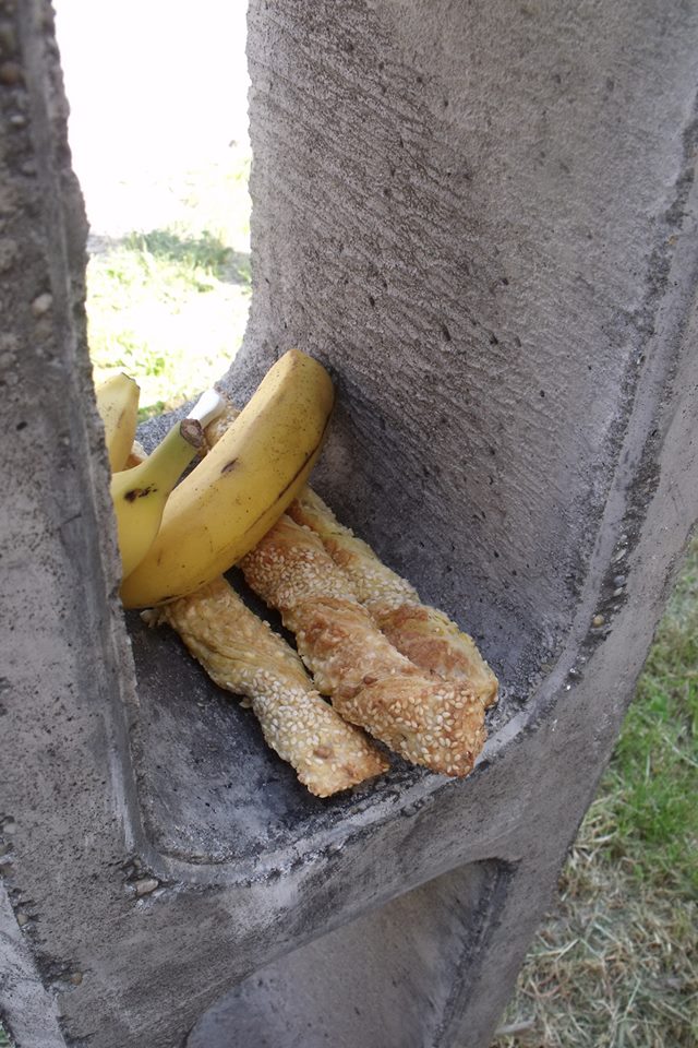 éhes