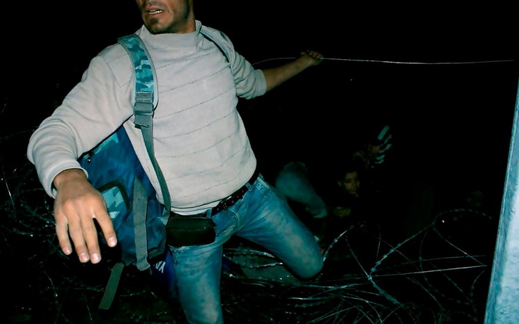 migrans1