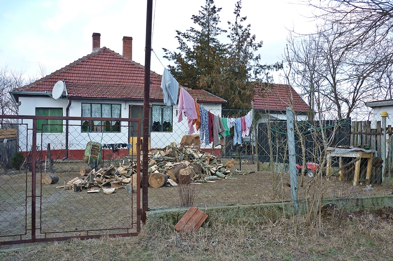 tanyasi