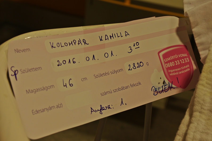 Újévi baba 2016 06