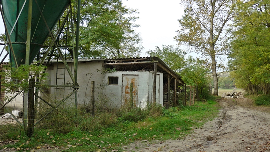 torlasz03