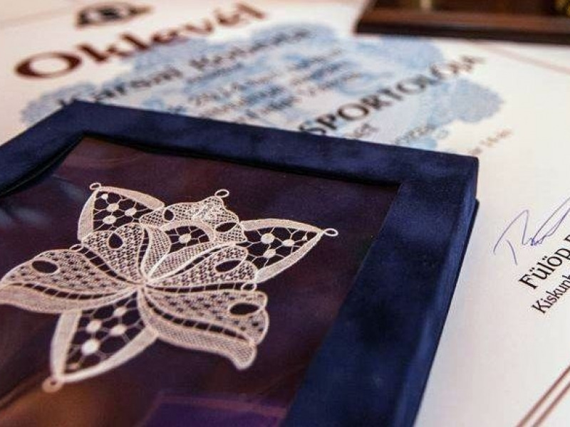 Kik kapják a sportdíjakat?