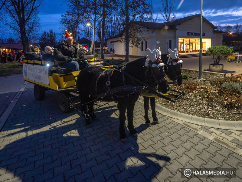 Lovas Mikulás a Kincsem Házban
