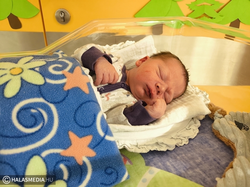 Ezek voltak 2025 januárjának legolvasottabb cikkei