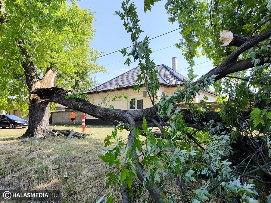 2025 júniusának és júliusának legolvasottabb cikkei