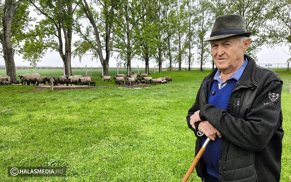 Az idei augusztus legolvasottabb cikkei