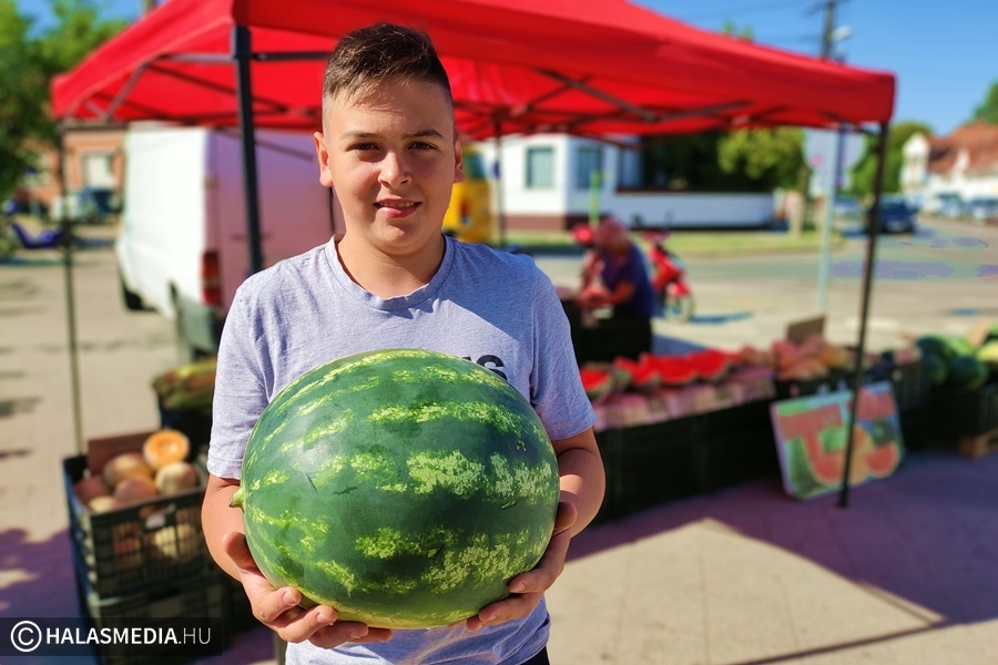 Milyen az igazán jó magyar dinnye?