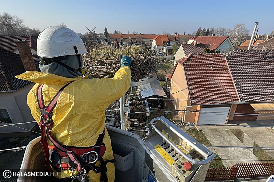 (►) Új, biztonságos fészket kapott egy halasi gólyacsalád