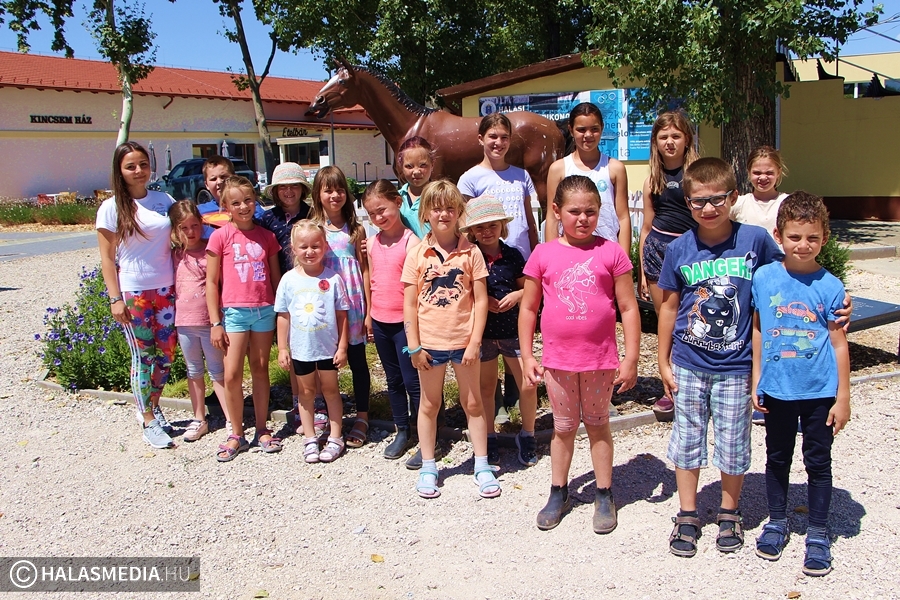 Nyári tábor a lovasparkban