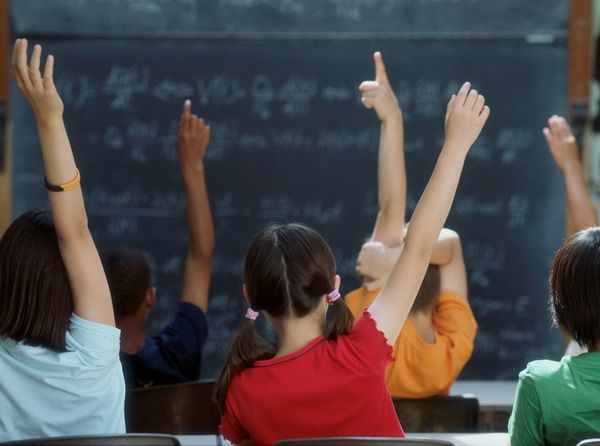 Ők kapják a város közoktatási díját
