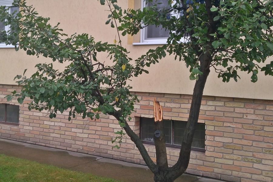 Bosszantó terménylopások a Kertvárosban