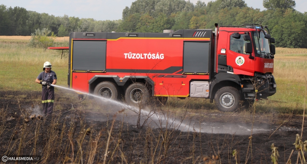 Közel 15 hektáron égett legelő, bozótos Kelebia külterületén