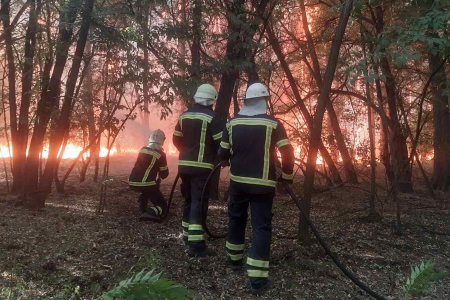 Kiskunhalasi erdőtűz: még mindig dolgoznak a tűzoltók (frissül)
