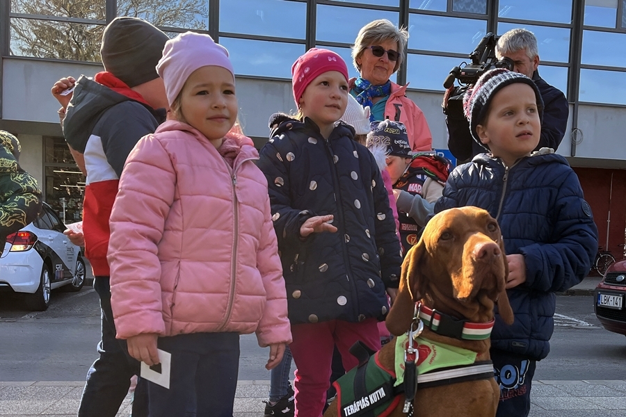 A felelős állattartásra hívták fel a figyelmet