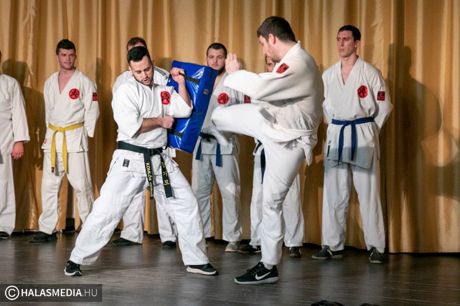 Határozottság, fegyelem, hapkido (galéria)