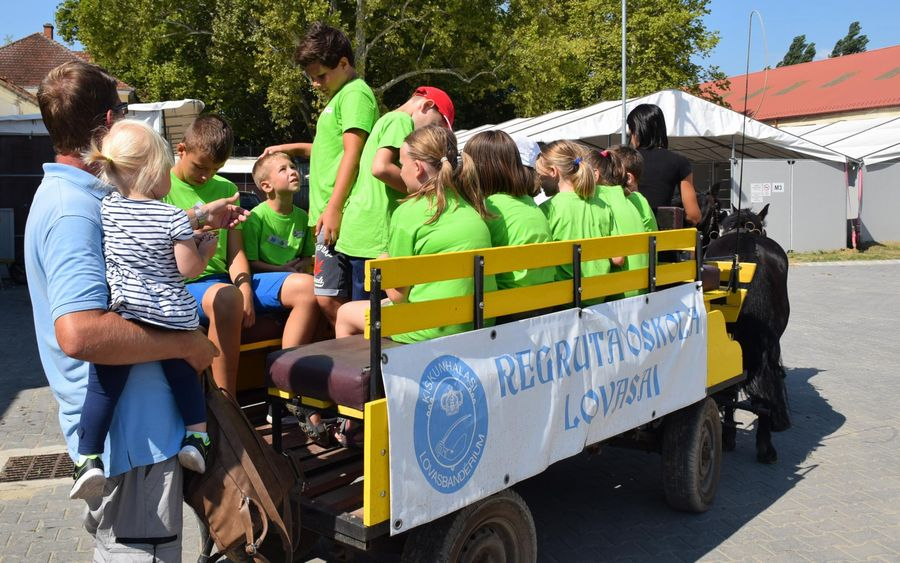 Regruta Oskola a Lovasparkban
