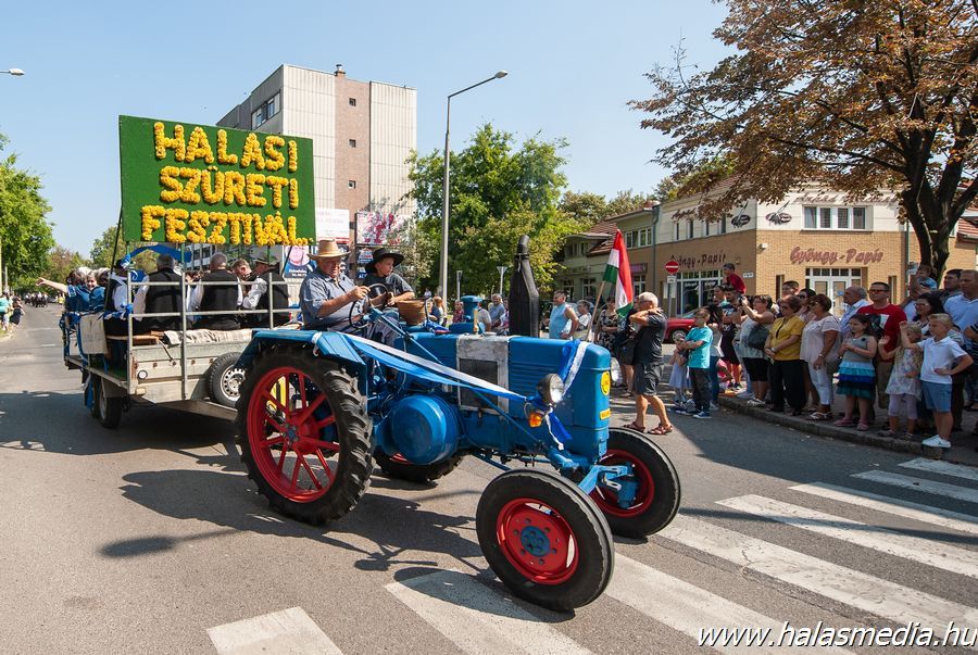 Nagyon ment a szüreti menet (galéria)