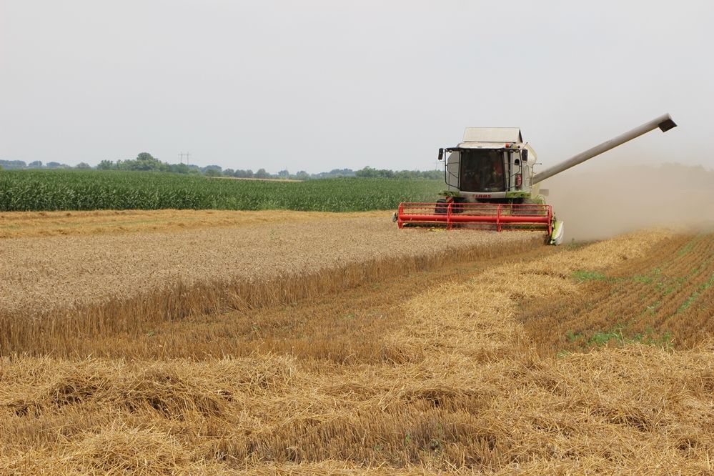 (►) Kisfilmekkel segíti a termelőket az agrárkamara