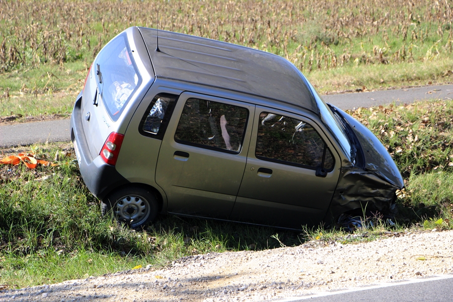 Suzuki az árokban