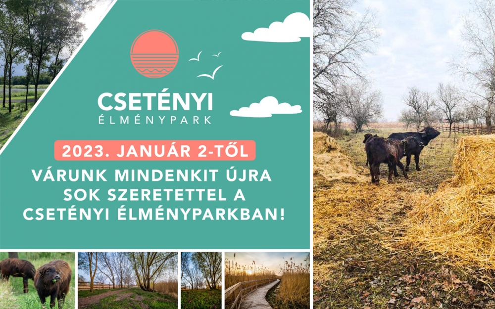 Január 2-án nyit a Csetényi Élménypark