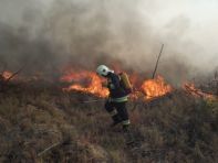 Több helyen égett az erdő