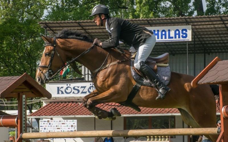 Szép idő, szép hazai eredmények