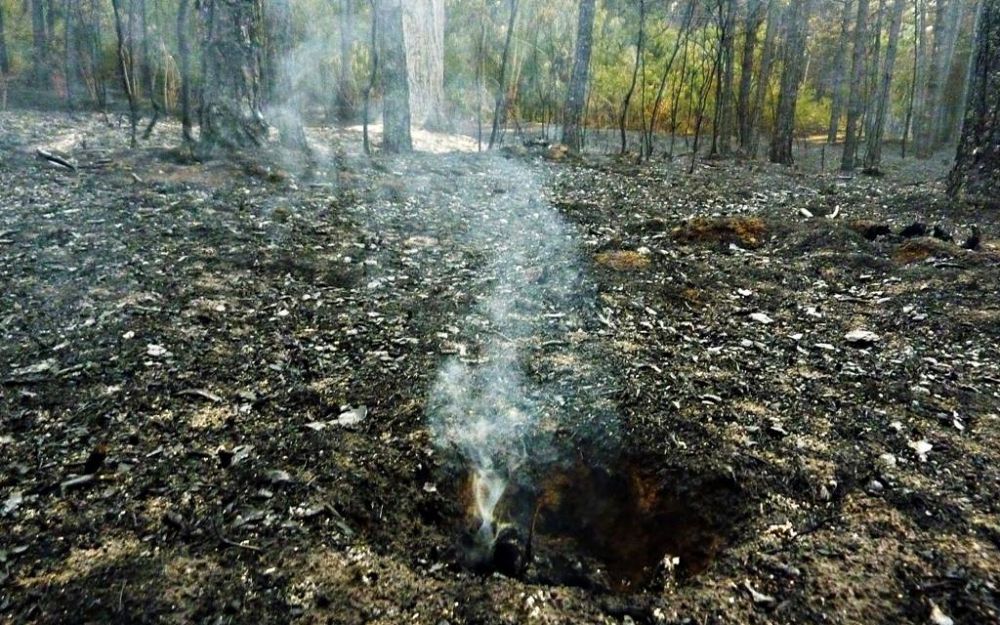 Erdőtűz: hazatérhetnek a tűzoltók