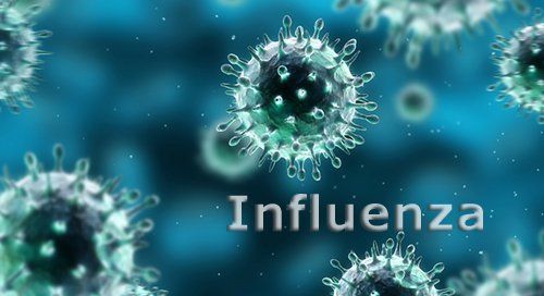 A megyét is elérte az influenza