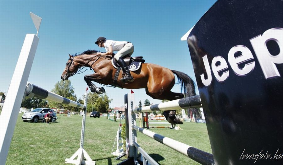 Jármy Vincéé (JB Koronaőr) a 145 cm (galéria)