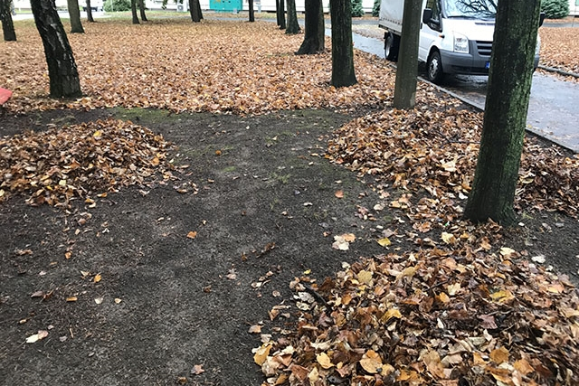 Őszi lombgyűjtés lesz