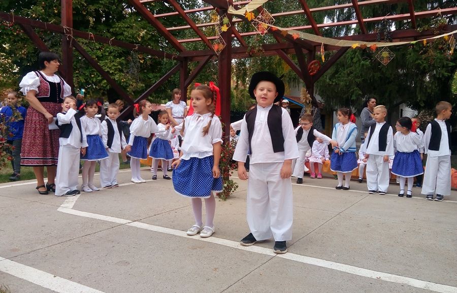 Érik a szőlő...