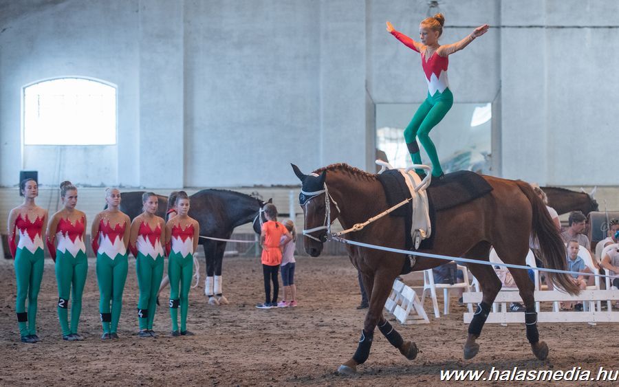 Lovastorna és szabadidős versenyek a lovasparkban (galéria)