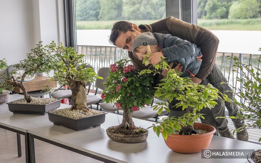 Madarak és fák napja a Csetényi Élményparkban (galéria)