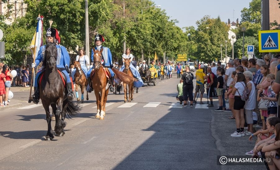 Közösségi szolgálat a Szüreti Fesztiválon – légy részese a város legnagyobb rendezvényének!