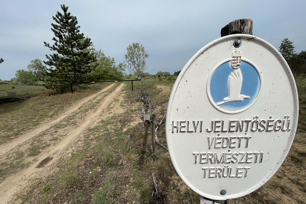 Rezervátumok, nemzeti parkok, túraútvonalak a Dél-Alföldön