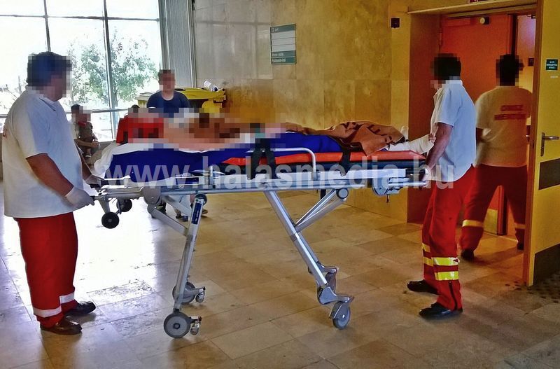 Megérkezett a halasi kórházba Norbi (friss fotóval)