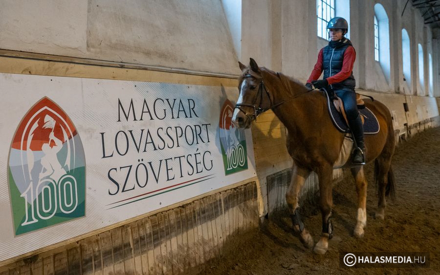 (►) Felkészültek és vizsgáztak a kezdő díjugratók (galéria)