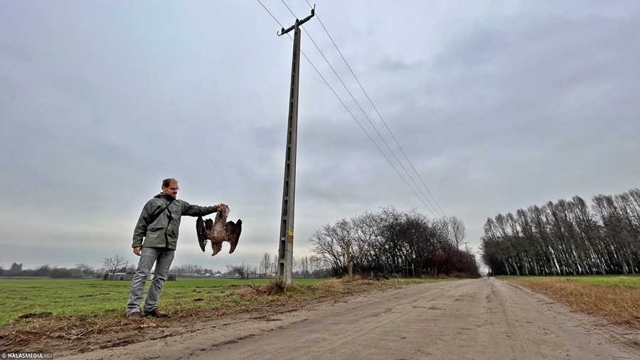 Ezek voltak 2022 novemberének legolvasottabb cikkei