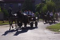 Szüreti hívogató