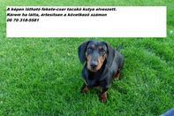 Három szomorú kisgyerek várja haza