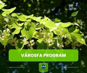 VárosFa Program: 70 csemetével gyarapodik Kiskunhalas zöldfelülete