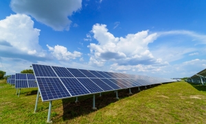Rövidesen termel majd az ország egyik legnagyobb napelemparkja Halas határában