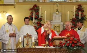 Halasi Katolikus Napok, érseki szentmisével