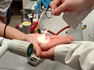 Késő estig kísérleteztek a Kutatók éjszakáján a Sziládyban