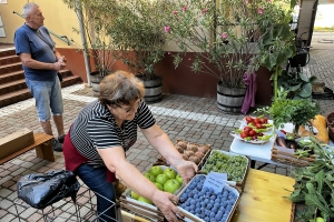 Idén is várják az érdeklődőket a kertbarátok