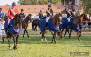 Csapatban Máchánszky régió győztesek, füvön Jakli Norina a mester (galéria)